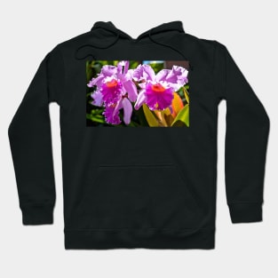 Pink Flowers Hoodie